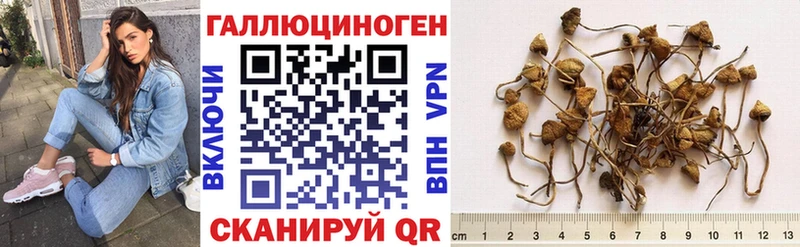 Галлюциногенные грибы MAGIC MUSHROOMS  купить закладку  OMG ссылки  Липки 