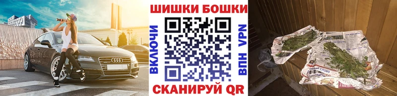где найти   Липки  Шишки марихуана Amnesia 